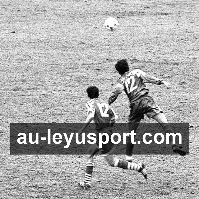 持续更新认证展示